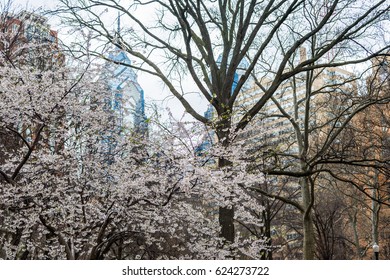 Spring In Rittenhouse Square In Philadelphia Pennsylvania