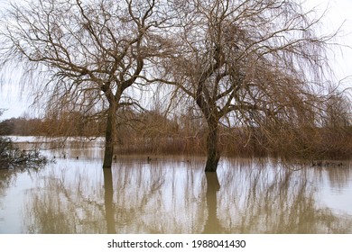 Spring River Flooding Of Rural Farmland Featuring Flooded Fields, Water Over Farm Field. Climate Change, Extreme Weather, Global Warming. Global Floods Risk Under Climate Change. UK, Suffolk