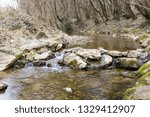 Spring river in the forest
