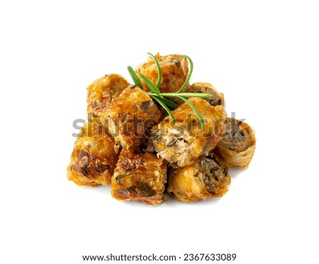 Spring rolls isolated. Rollos primavera pieces, fried rollito, arrollado, lumpia cuts, popiah, nem, sajgonki or fried dim sim pile on white background