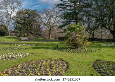 Spring In The Roundhay Park