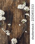 Spring rustic flat lay. Blooming cherry branch on rustic wooden background. Spring flowers rural wallpaper. Simple countryside living. Hello spring. Space for text