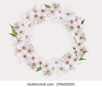 Spring Sakura Cherry Blossom Round Frame With Copy Space. 