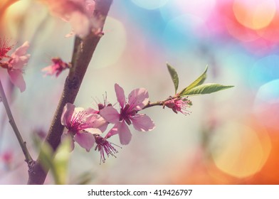 Spring scene