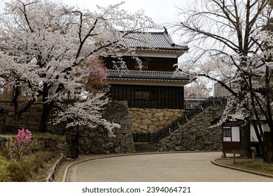 Spring scenery of the historic entrance gate to Ueda castle 上田城, with beautiful cherry blossom trees (Sakura) in full bloom, in Nagano Prefecture, Japan