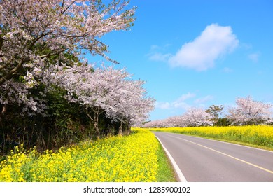 It is spring scenery of 