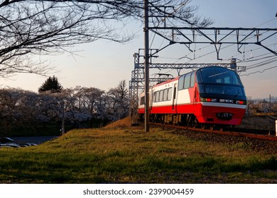 Spring scenery of a rapid train dashing on Nagoya Main Line of Meitetsu Railway (名鉄 名古屋本線), with beautiful cherry blossom trees (Sakura) blooming along the tracks, near Kasamatsu, Gifu, Japan