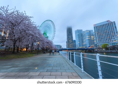 Spring scenery of Yokohama Minatomirai Bay area at sunset twilight with Sakura cherry blossom, Japan. Long exposure shooting.