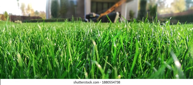 Spring season sunny lawn mowing in the garden. Lawn blur with soft light for background. - Shutterstock ID 1880554738
