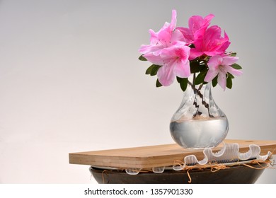 Spring is the season when azaleas Bloom. - Shutterstock ID 1357901330