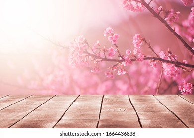 Spring Seasonal Of Pink Sakura Branch With Wooden Table Stand ,flower Background