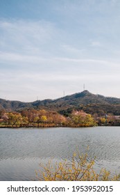 Spring Of Seoul Grand Park In Gwacheon, Korea