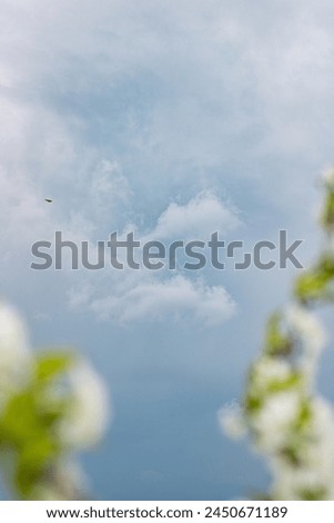 spring sky before a thunderstorm. cloudy sky before rain. dark storm clouds in spring