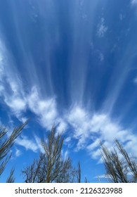 cielo primaveral colores brillantes