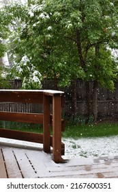 Spring Snow In A Colorado Yard