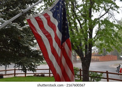 Spring Snow In A Colorado Yard