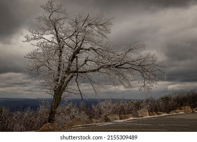 Spring Snow At High Point State Park, New Jersey