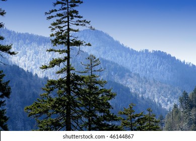 Spring Snow In Newfound Gap. Great Smoky Mountains National Park.