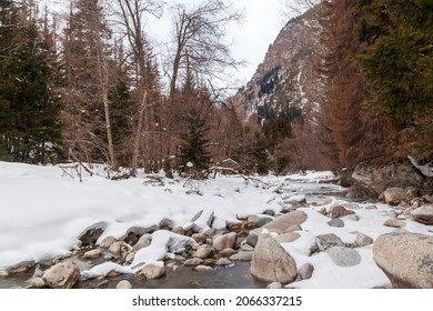 Spring, Snow On The Banks Of A Mountain River, Forest And Mountains, Snow Melting.