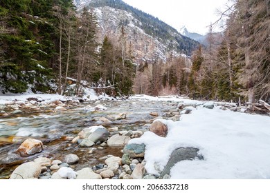 Spring, Snow On The Banks Of A Mountain River, Forest And Mountains, Snow Melting.