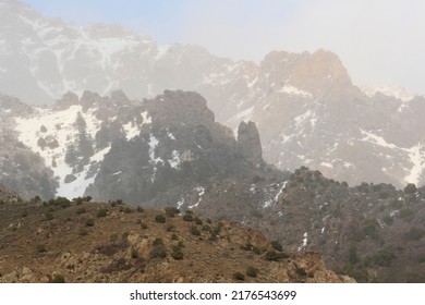 Spring Snowstorm In Wasatch Mountains, Utah