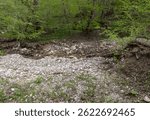 spring, the source of the river originating in a mountainous area, a day in a nature park,walking along the canyon