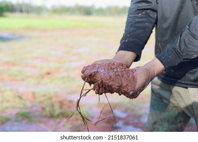 Spring sowing campaign. Men's hands with soil. Agrarian with soil in his hands