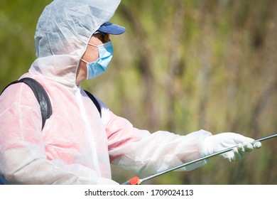 Spring spraying of fruit trees