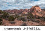 Spring Storm at Kolob Canyons at Zion National Park