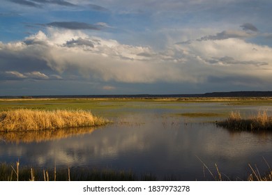 Spring Storm Over Wetland Of Wildlife Preserve