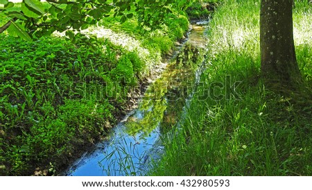 Spring streamlet Stock fotó © 