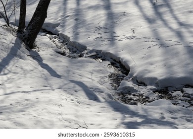 Spring streamlet flows between white snowdrifts and glitters in the bright sunlight