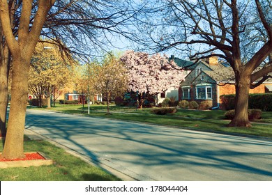 Spring in suburbs 