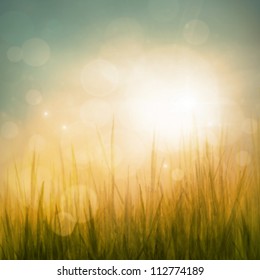 Spring Or Summer Abstract Nature Background With Grass In The Meadow And Blue Sky In The Back