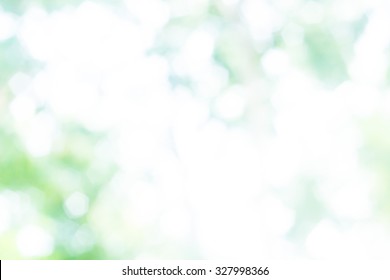Spring or summer abstract nature. Over blur forest and sky and flower with De focused Bokeh textures background art.Ecology concept.
