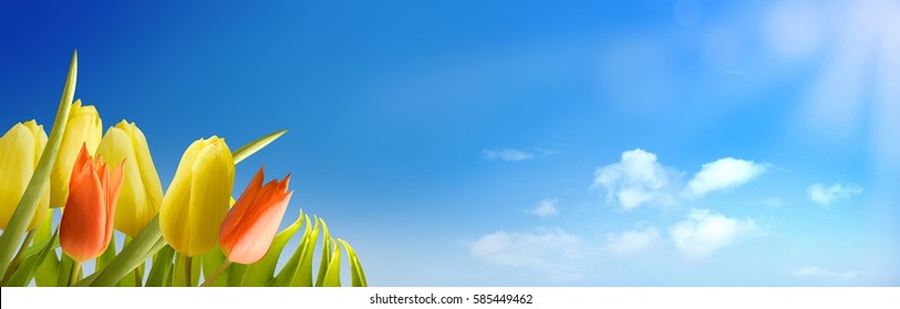 spring and summer background