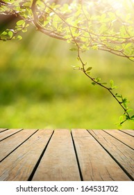 Spring Or Summer Background Empty Table For Photomontage