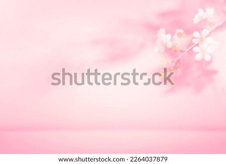 Spring summer blurred light pink background with shadow of the tree leaves and flowers on a wall. Abstract Spring Summer scene for product presentation.