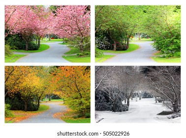 Frühling, Sommer, Herbst und Winter. Vier Jahreszeiten auf der gleichen Straße fotografiert von genau der gleichen Lage. 