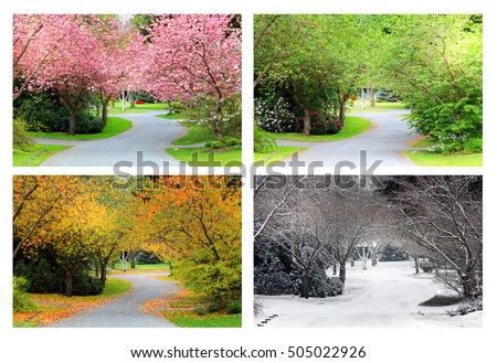 Spring, Summer, Fall and Winter. Four seasons photographed on the same street from the exact same location. 