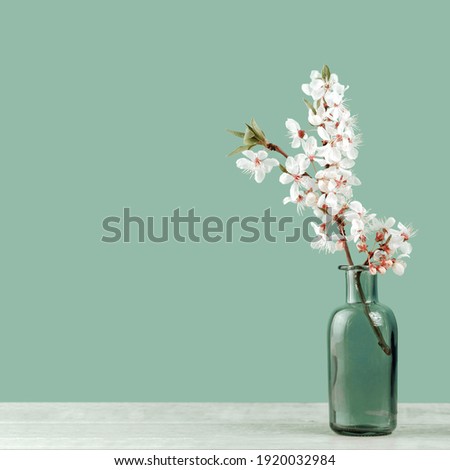 Spring or summer festive blooming with white flowers fruit tree branches in a small glass vase against tender pastel green background. Fresh floral wide background banner with copy space