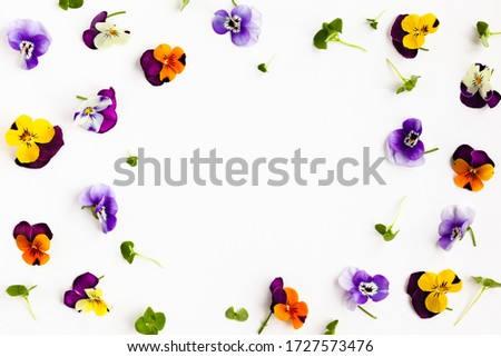 Spring or summer flower composition with edible pansy and micro greens on white background. Flat lay, copy space. Healthy life concept.