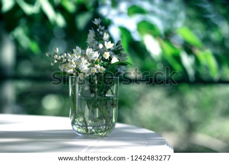 spring or summer flower in a glass jar on the green garden background. Glass jar with beautiful flower on a white table. Use for interior design or background concept.
