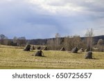 Spring and summer landscape