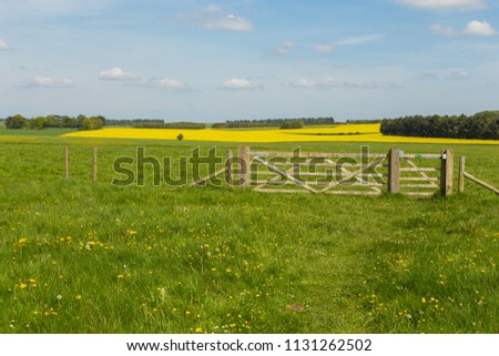 Similar – Image, Stock Photo Stonehenge Tourism Trip