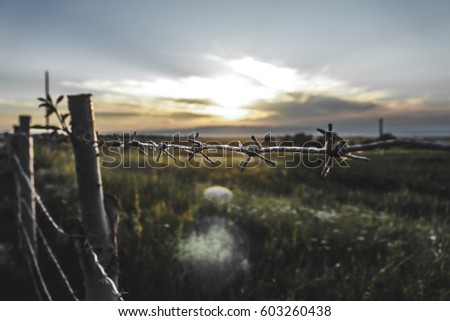 Spring sunset on the background of barbed wire