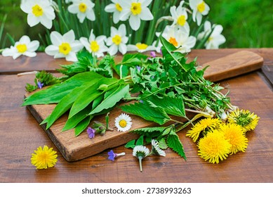 Spring table background with flowers, herbs and plants. Wild garlic, nettle, dandelion and other medicinal herbs 