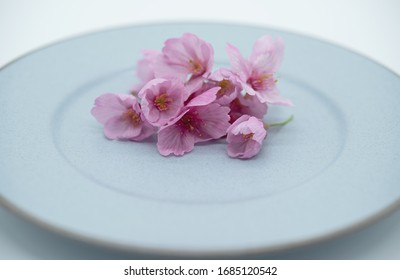 Spring table set with cherry blossom on plate. Blossoming pink cherry flower. Spring concept