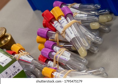 Spring, Texas / USA - August 12th, 2020: Groups Of Vacutainers Bundled With Rubber Bands Together On A White Table At A Gulf Coast Regional Blood Drive.