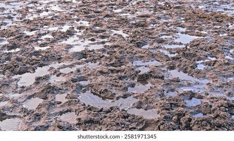 Spring Thaw Muddy Ground Difficult to Pass for Vehicle